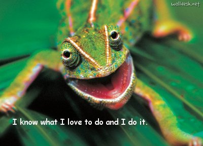 Lizard