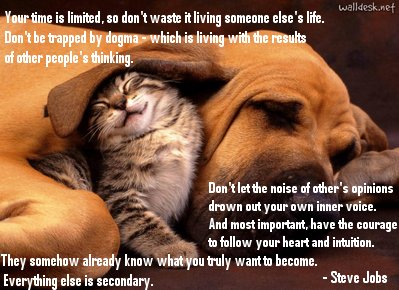 Your Life