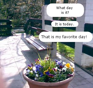 Favorite Day