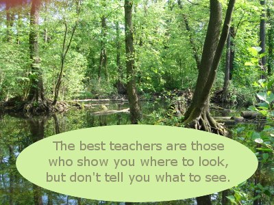 Teacher