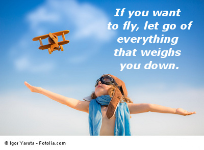 Fly