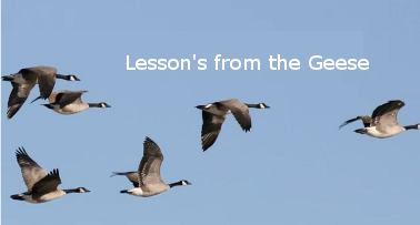 Geese